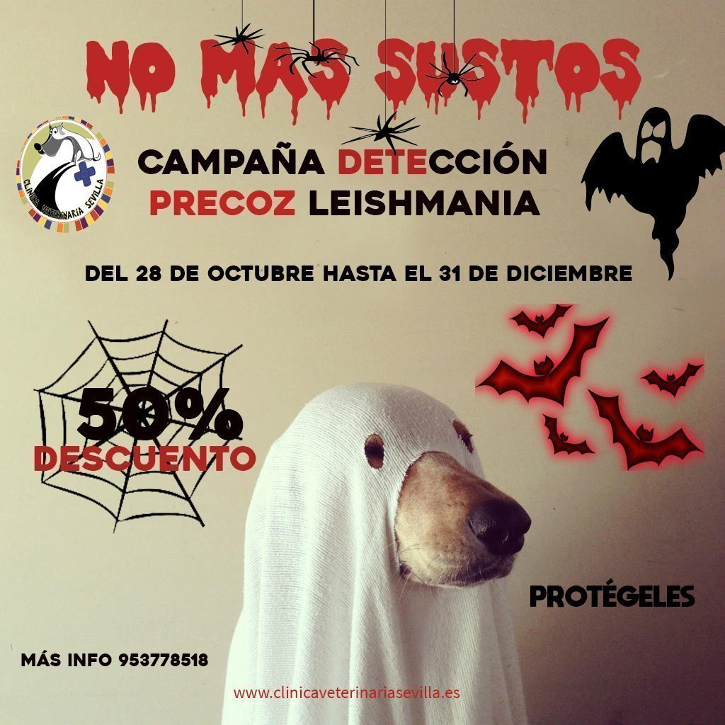 campaña no más sustos