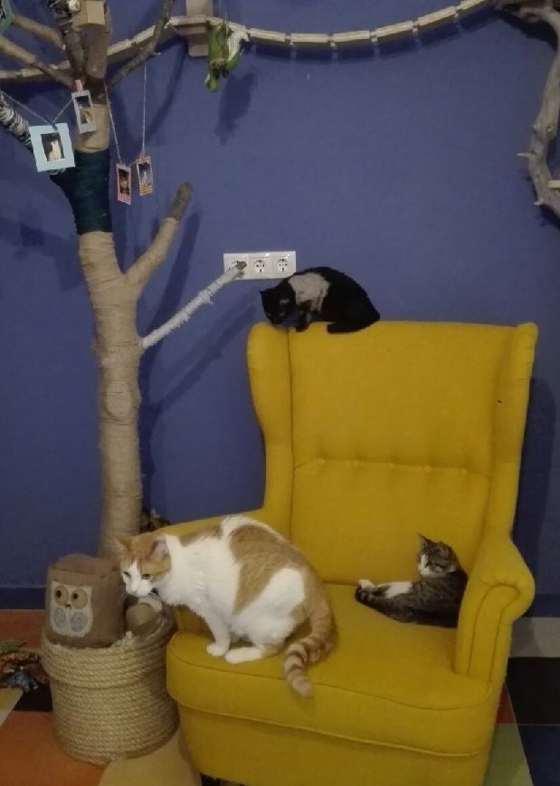 SALA DE ESPERA RECORTADA