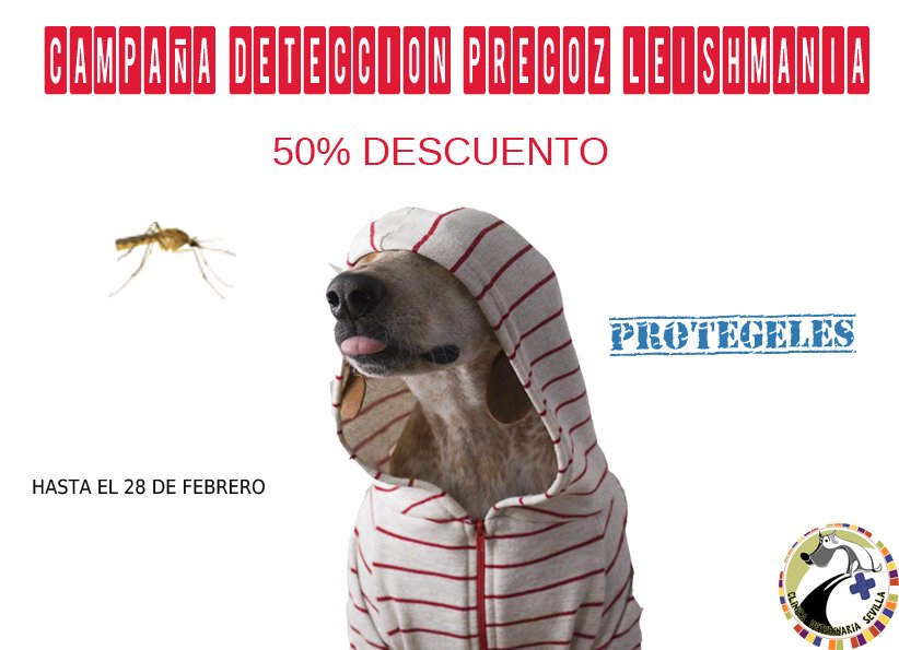 campaña detección leishmania