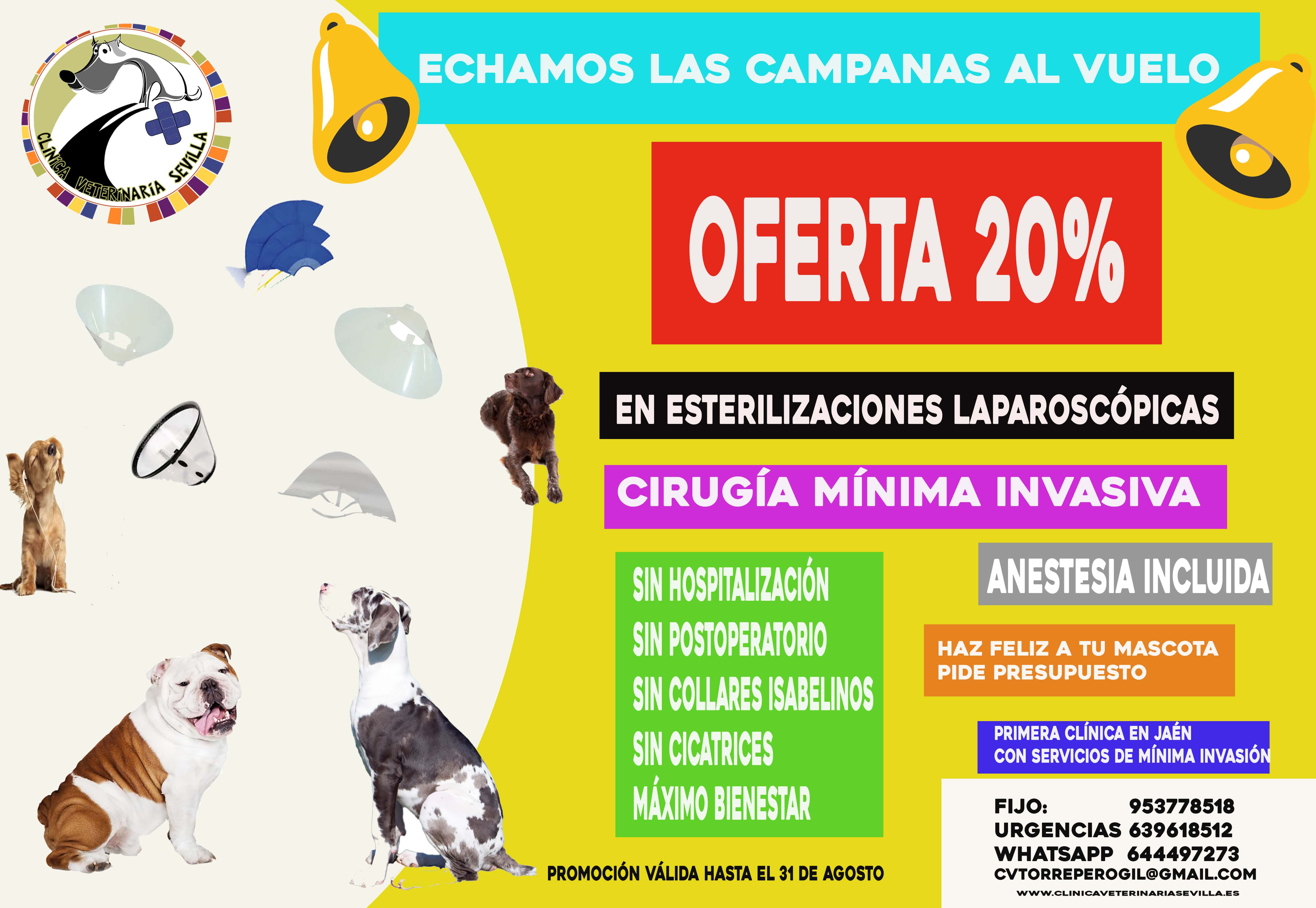 campaña laparo2 min